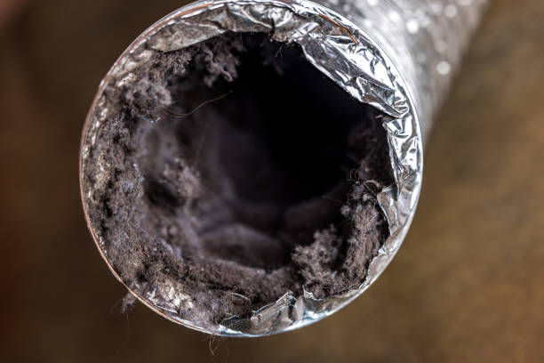 Best Duct Cleaning for Homes  in Washgton, IN