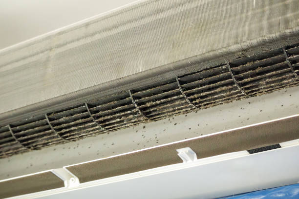 Best Best Air Duct Cleaning Near Me  in Washgton, IN