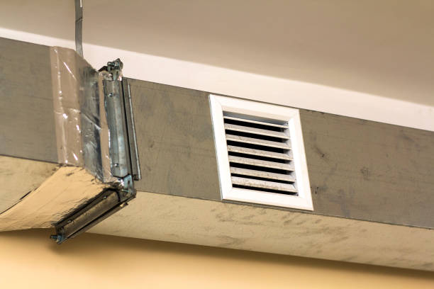 Best Professional Duct Cleaning Services  in Washgton, IN